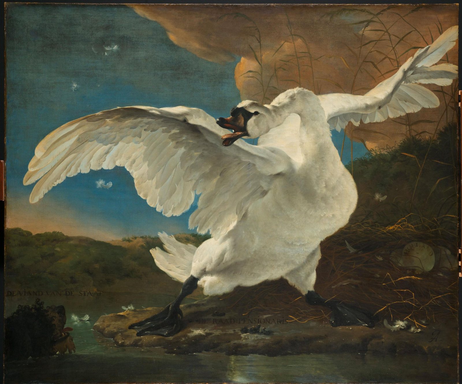 The Threatened Swan — Jan Asselijn